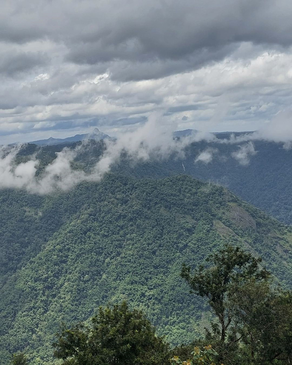 35 Best Tourist Places in Wayanad with Pictures – 2024 | I Fashion Styles