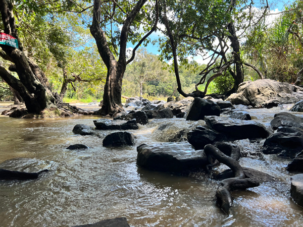 35 Best Tourist Places in Wayanad with Pictures – 2024 | I Fashion Styles