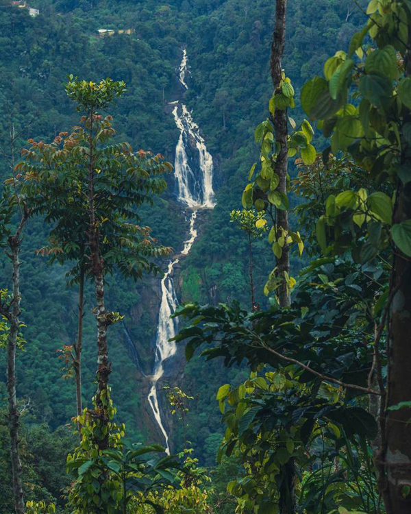 35 Best Tourist Places in Wayanad with Pictures – 2024 | I Fashion Styles