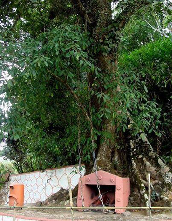 35 Best Tourist Places in Wayanad with Pictures – 2024 | I Fashion Styles