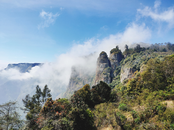 14 Amazing Kodaikanal Tourist Places To Visit| I Fashion Styles