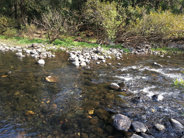 6 Famous Parks in Goa with Pictures | I Fashion Styles