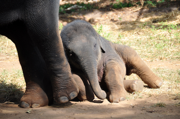 6 Famous Parks in Goa with Pictures | I Fashion Styles