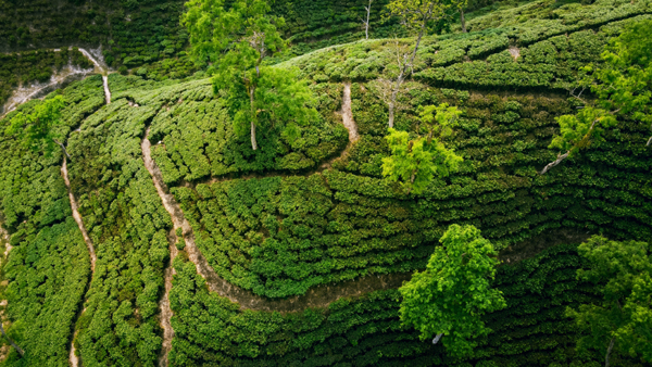 9 Best Bangladesh Tourist Places to Visit | I Fashion Styles