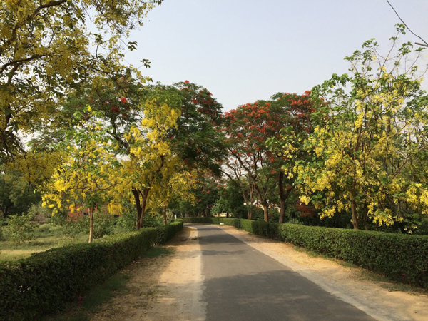 9 Famous Parks in Agra with Pictures | I Fashion Styles