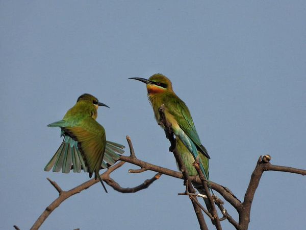 9 Famous Parks in Agra with Pictures | I Fashion Styles