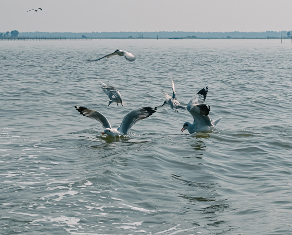 15 Amazing Tourist Places In Orissa To Visit| I Fashion Styles