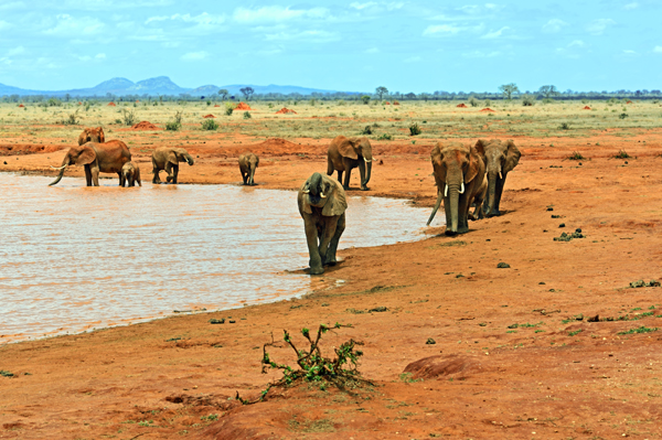 9 Famous Kenya Tourist Places to Visit | I Fashion Styles