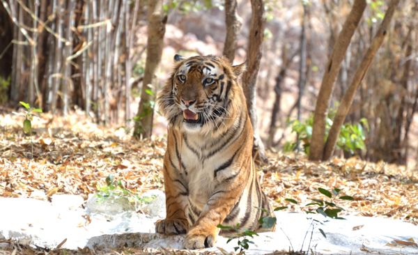 15 Best Bhopal Tourist Places to Visit | I Fashion Styles