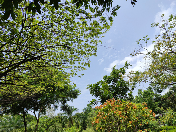 20 Famous Mangalore Tourist Places To Visit | I Fashion Styles