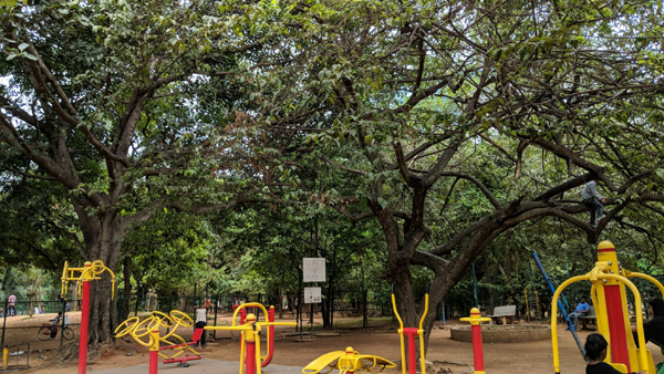 9 Famous Parks in Bangalore with Pictures | I Fashion Styles
