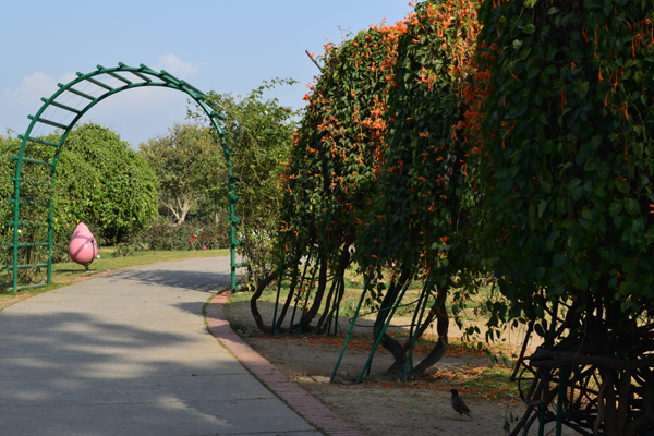 8 Famous Parks in Chandigarh with Pictures | Style At Life