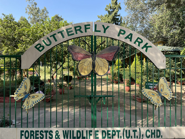 8 Famous Parks in Chandigarh with Pictures | Style At Life