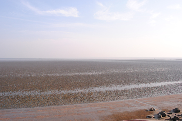 10 Most Popular Beaches in Orissa with Pictures