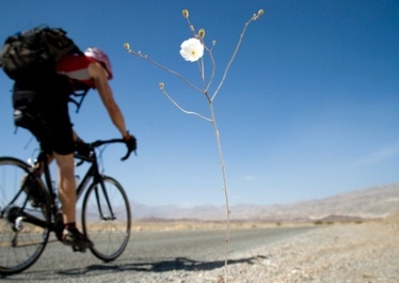 Top 9 Cycling Tours Around the World | I Fashion Styles