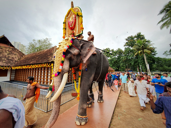 9 Most Famous Temples In Kochi To Visit In 2024