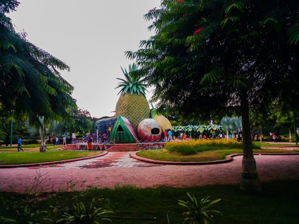 8 Famous National Parks and Wildlife Sanctuaries in Andhra Pradesh