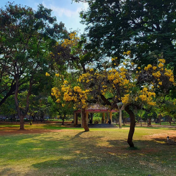 8 Famous National Parks and Wildlife Sanctuaries in Andhra Pradesh