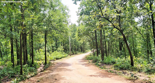 6 Best Sanctuaries and Parks in Bihar| I Fashion Styles