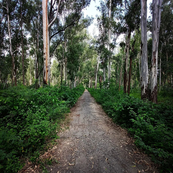 Parks and Sanctuaries in Haryana | I Fashion Styles