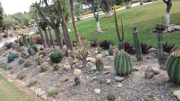 Parks and Sanctuaries in Haryana | I Fashion Styles