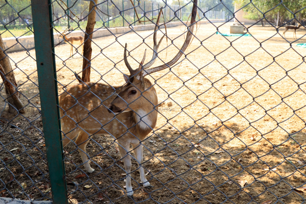 Parks and Sanctuaries in Haryana | I Fashion Styles