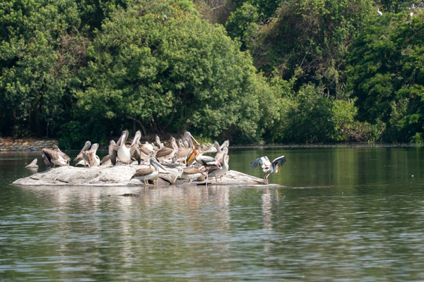 8 Famous Sanctuaries and Parks in Karnataka | I Fashion Styles