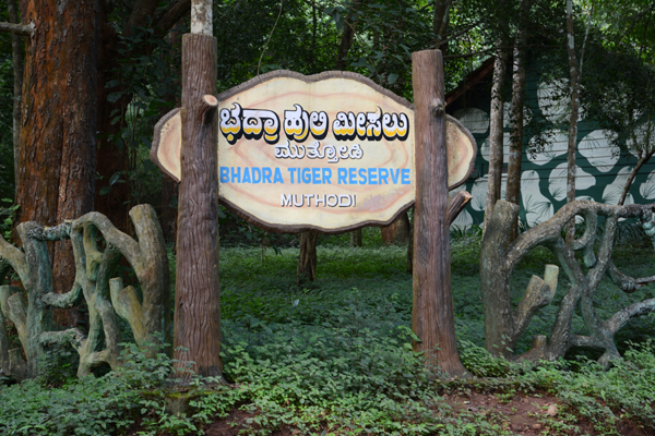 8 Famous Sanctuaries and Parks in Karnataka | I Fashion Styles