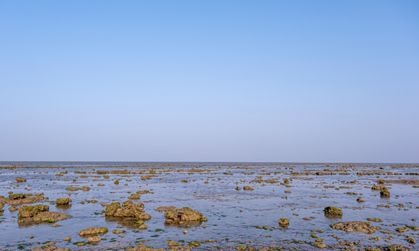 Beautiful Sanctuaries and Parks in Gujarat with Images | I Fashion Styles