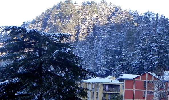 9 Most Popular Shimla Tourist Places to Visit | I Fashion Styles