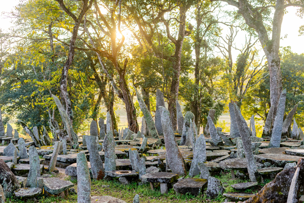 9 Best Parks and Sanctuaries in Meghalaya | I Fashion Styles