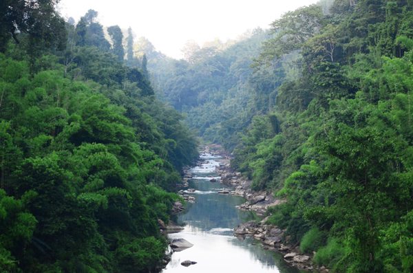7 Best Parks and Sanctuaries in Mizoram with Images