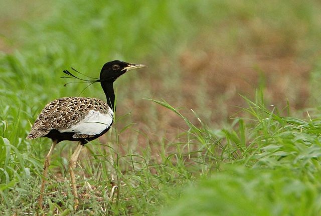 10 Best Arunachal Pradesh Tourist Places to Visit | I Fashion Styles