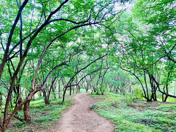 8 Famous Parks in Pune with Pictures | I Fashion Styles