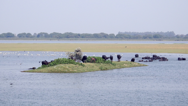 9 Famous Parks in Vadodara with Pictures | I Fashion Styles