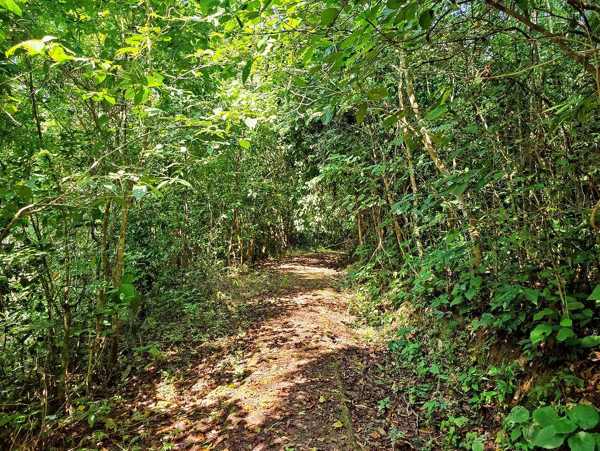 Parks and Sanctuaries in Tripura | I Fashion Styles