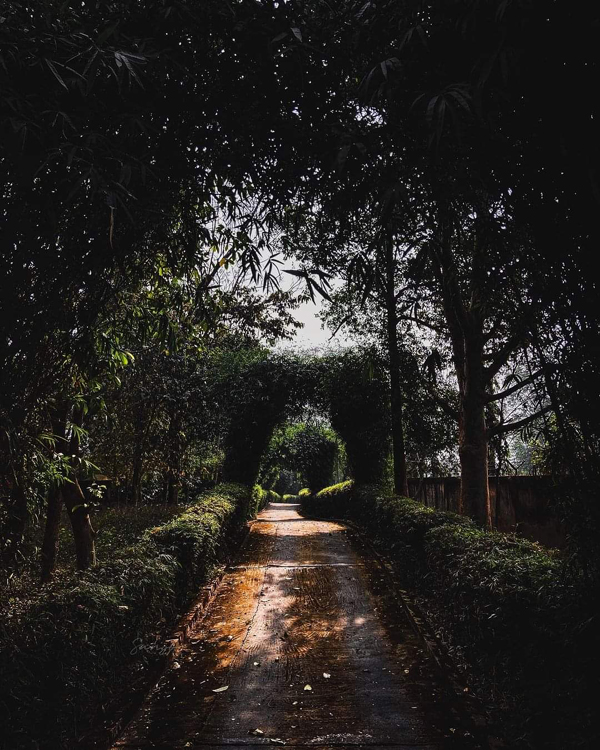 Parks and Sanctuaries in Tripura | I Fashion Styles