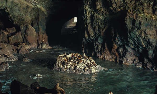 9 Famous Sea Caves Around The World with Pictures | I Fashion Styles