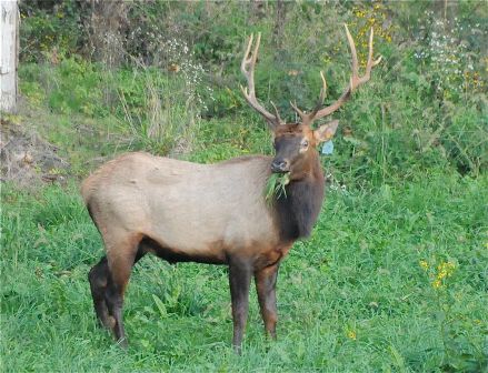 9 Tips of Being a Responsible Traveller | I Fashion Styles