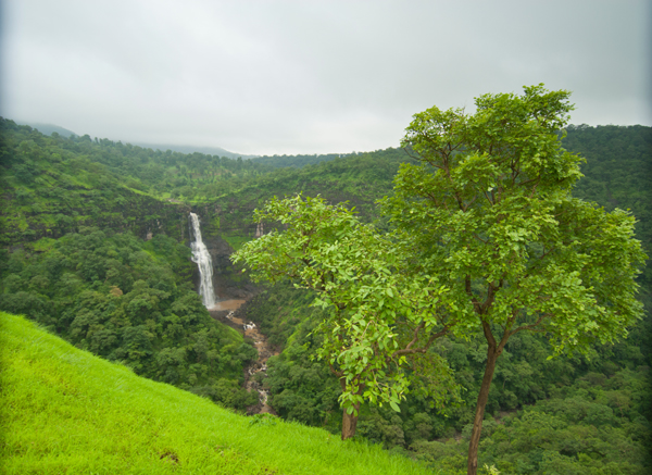 10 Best Waterfalls in Maharashtra That Will Take Your Breath Away
