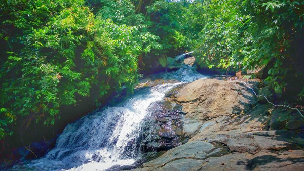 8 Elegant Waterfalls in Assam – Nature’s Power at Its Glorious Best