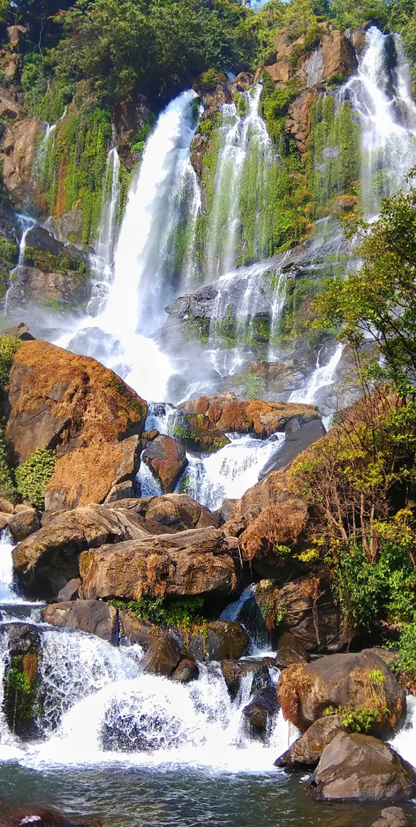8 Elegant Waterfalls in Assam – Nature’s Power at Its Glorious Best