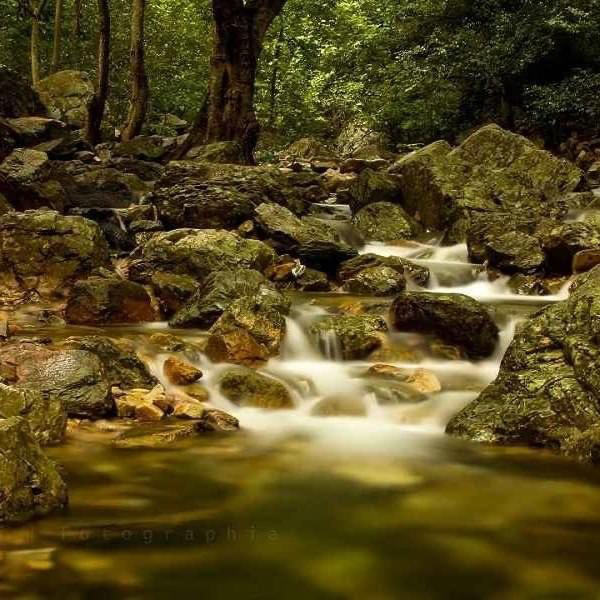 15 Most Beautiful Waterfalls In Andhra Pradesh With Details