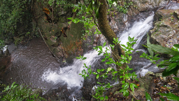 15 Most Beautiful Waterfalls In Andhra Pradesh With Details