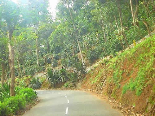 Checkout This Best Honeymoon Places In Chennai For Couples |Stylesatlife