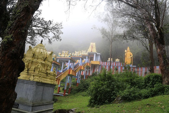 15 Best Honeymoon Destinations in Ooty for Newly Married Couples