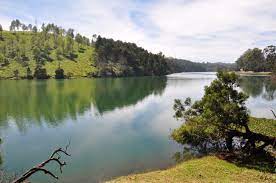 15 Best Honeymoon Destinations in Ooty for Newly Married Couples