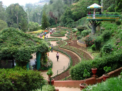 15 Best Honeymoon Destinations in Ooty for Newly Married Couples