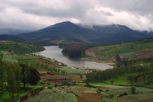 15 Best Honeymoon Destinations in Ooty for Newly Married Couples