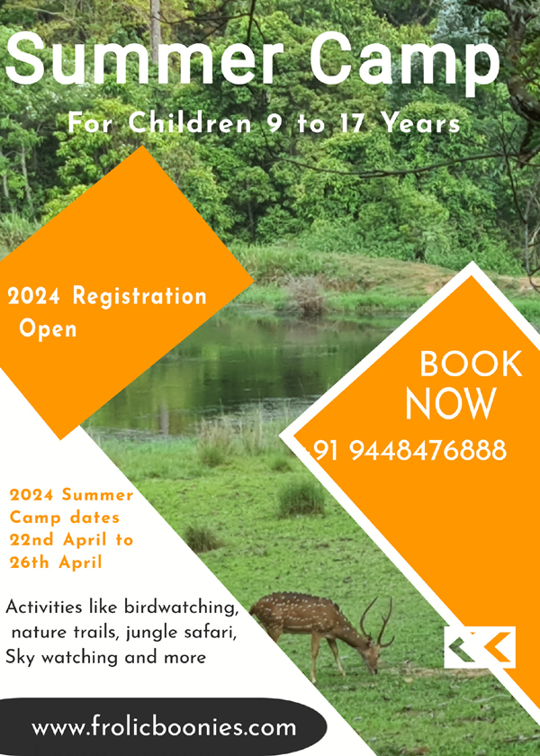 Best Summer Camps in Bangalore That Your Kids Will Love